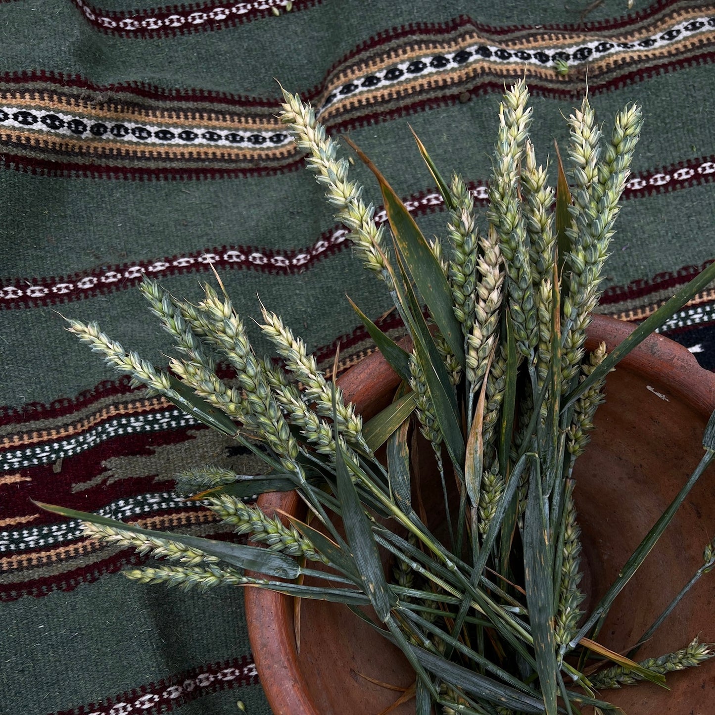 ETHNO BABAI – Hand Made Rug “Green”