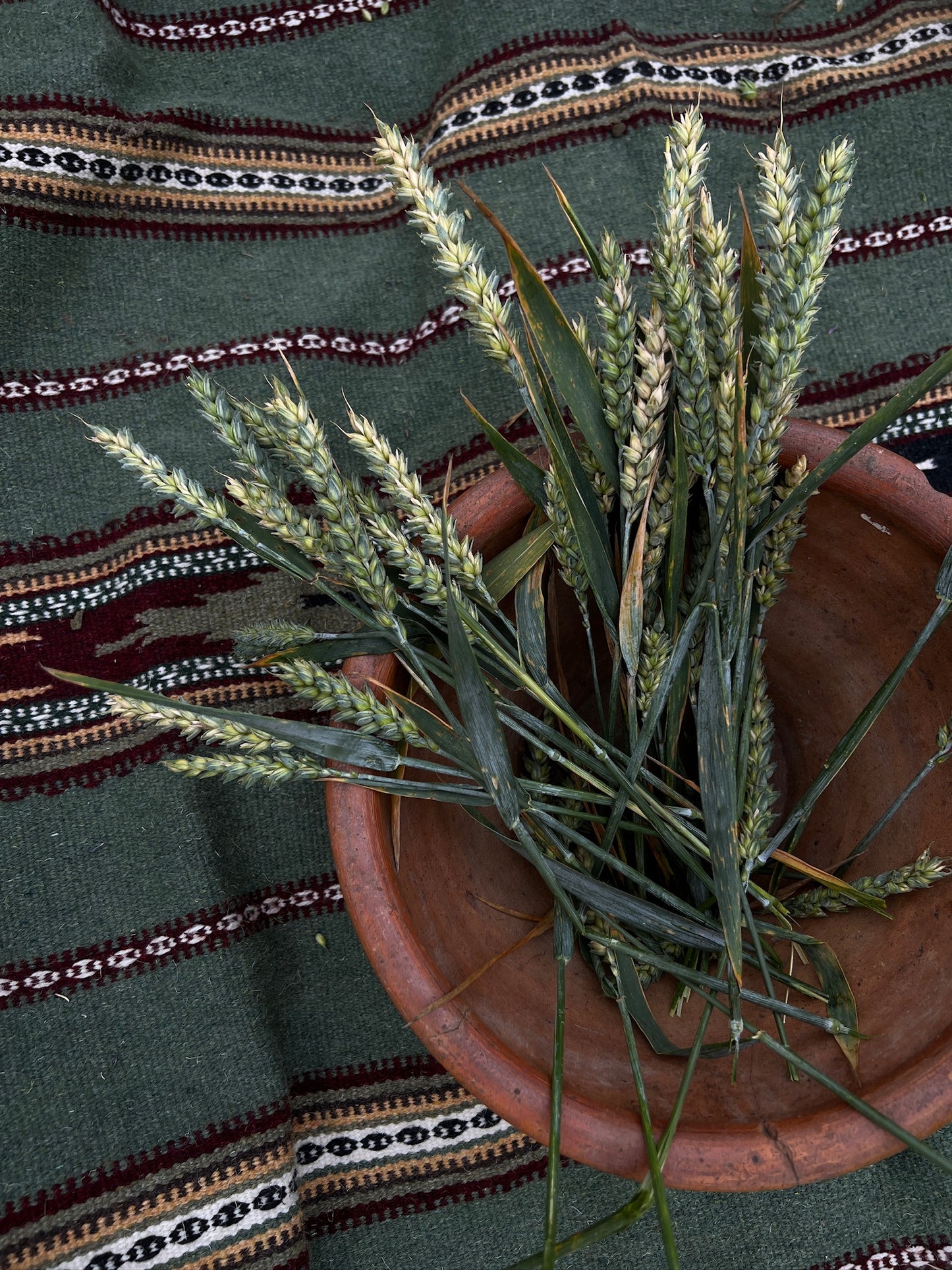 ETHNO BABAI – Hand Made Rug “Wine”